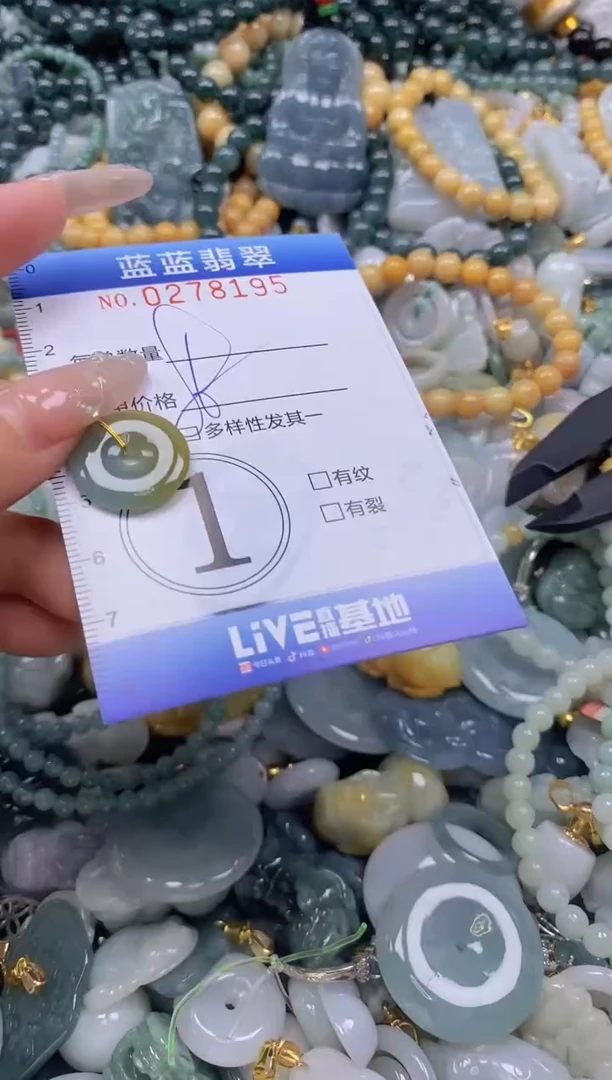 翡翠未镶嵌颈饰闪购0278195多样性发其一