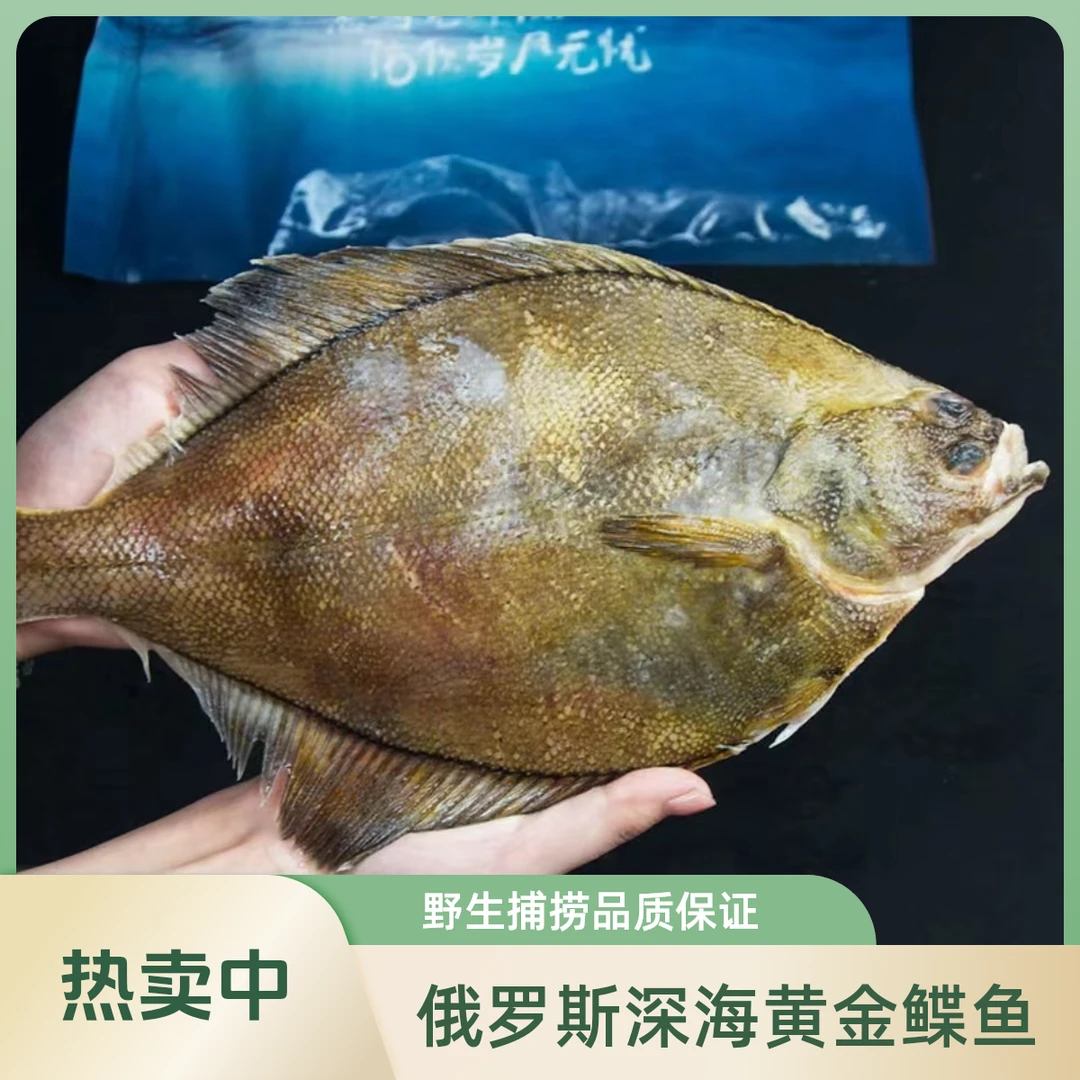 （1.2-1.4斤/条）深海俄罗斯黄金鲽鱼4条（4.5-5斤）新鲜船冻锁鲜包邮