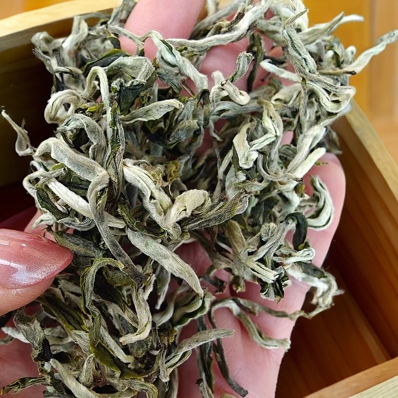 【2025年雪龙绿茶】云南绿茶雪龙春尖清新清香耐泡罐罐茶