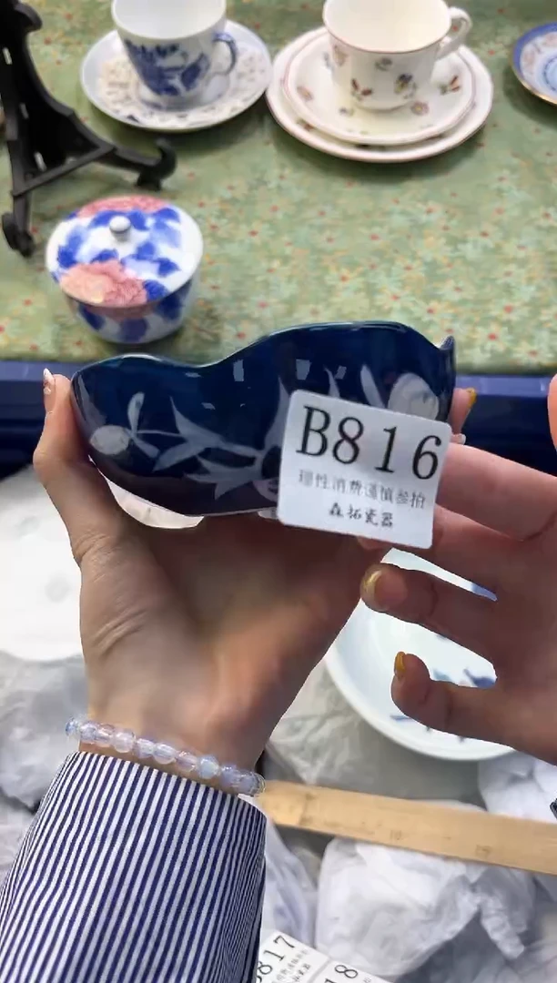 【闪购商品】瓷片          B816