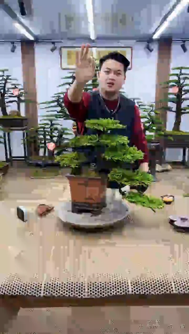 【闪购商品】0000000