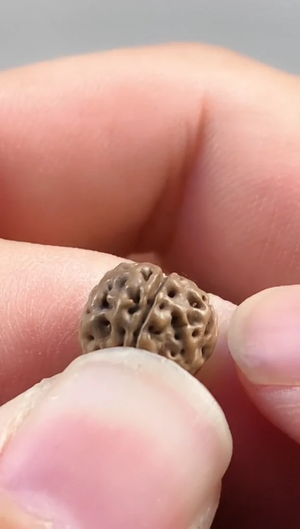 吊坠金刚菩提831五星战神凹底梅花108长串9-12mm