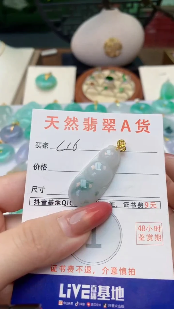 颈饰未镶嵌翡翠天然A货翡翠挂件
