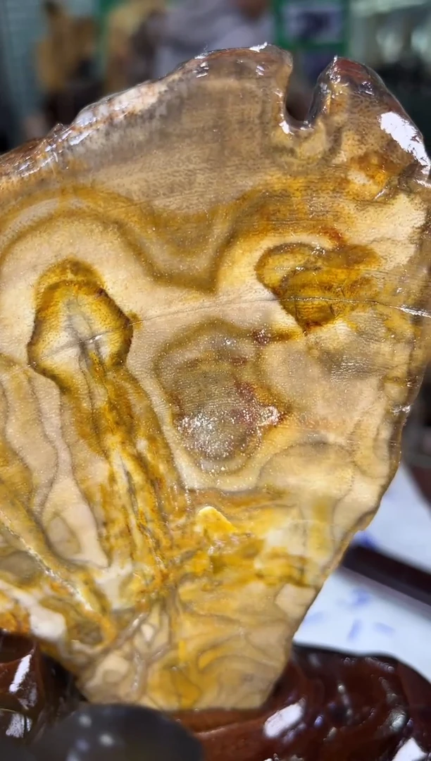 未镶嵌珠宝奇石硅化玉缅甸天然树化玉精品居家摆件