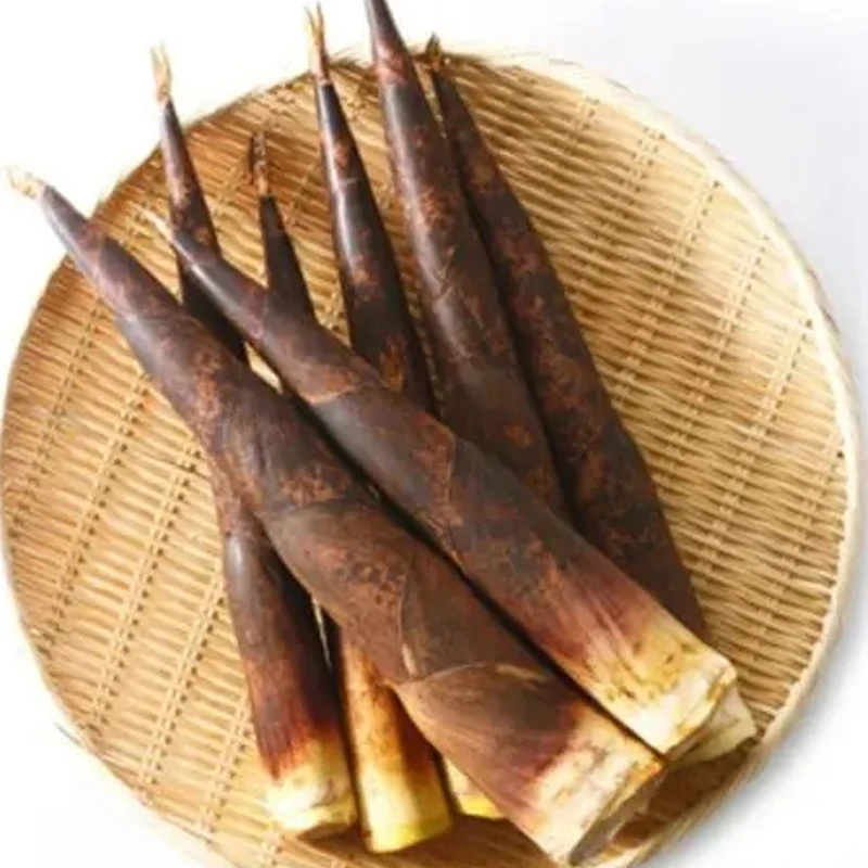 【散】雷笋约500g±50g/份