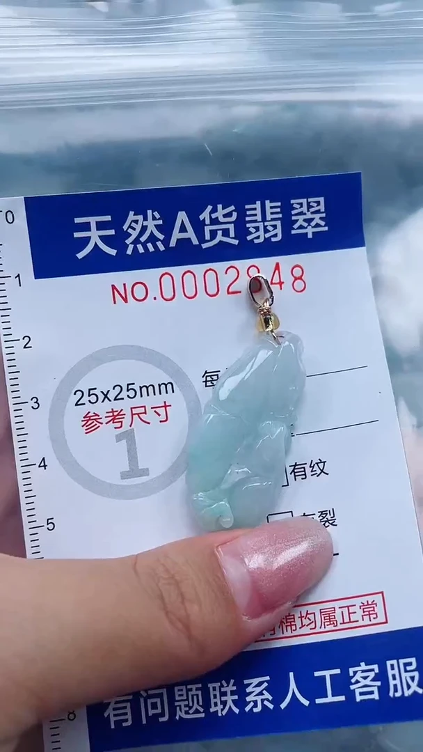 翡翠未镶嵌吊坠(不含链)1