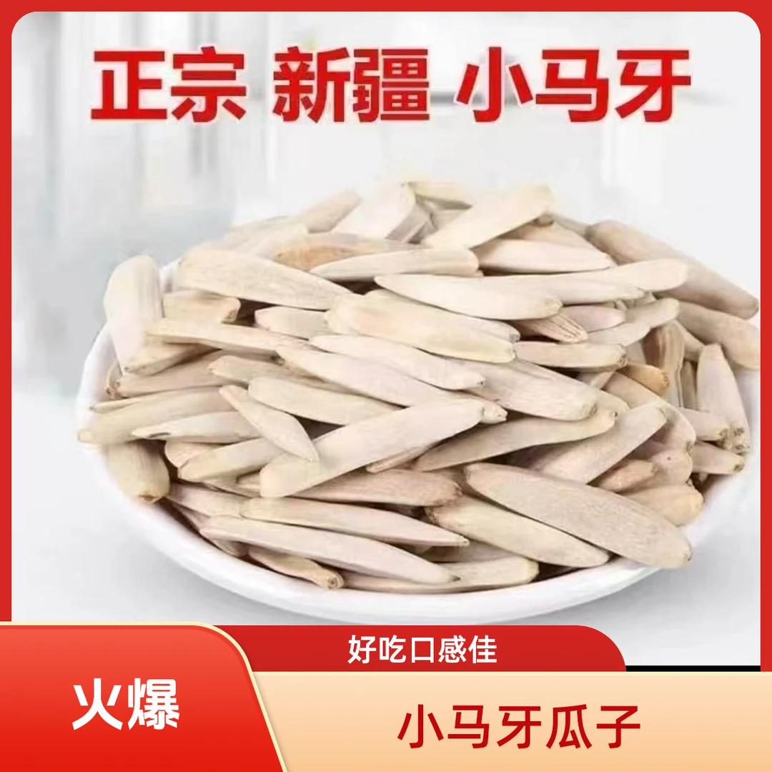 【精选】新疆牙签马牙长粒五香炒熟休闲炒货瓜子CZ