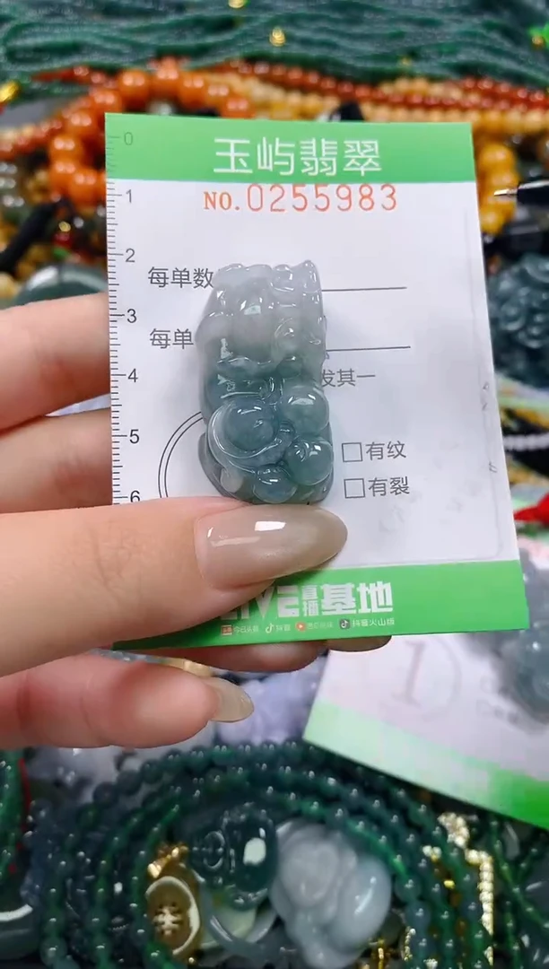 颈饰未镶嵌翡翠闪购0255983