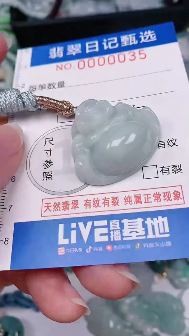 【闪购商品】翡翠颈饰未镶嵌00000035