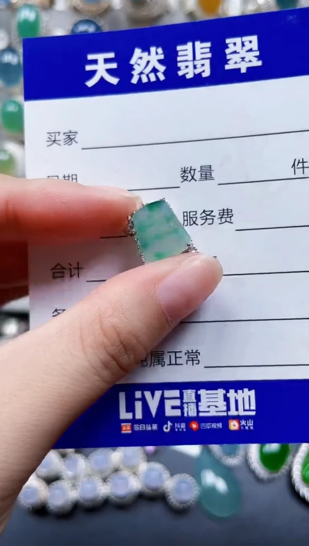 颈饰银S925镶嵌翡翠497