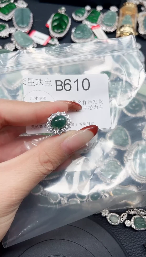 【闪购商品】翡翠颈饰未镶嵌赠皮绳610