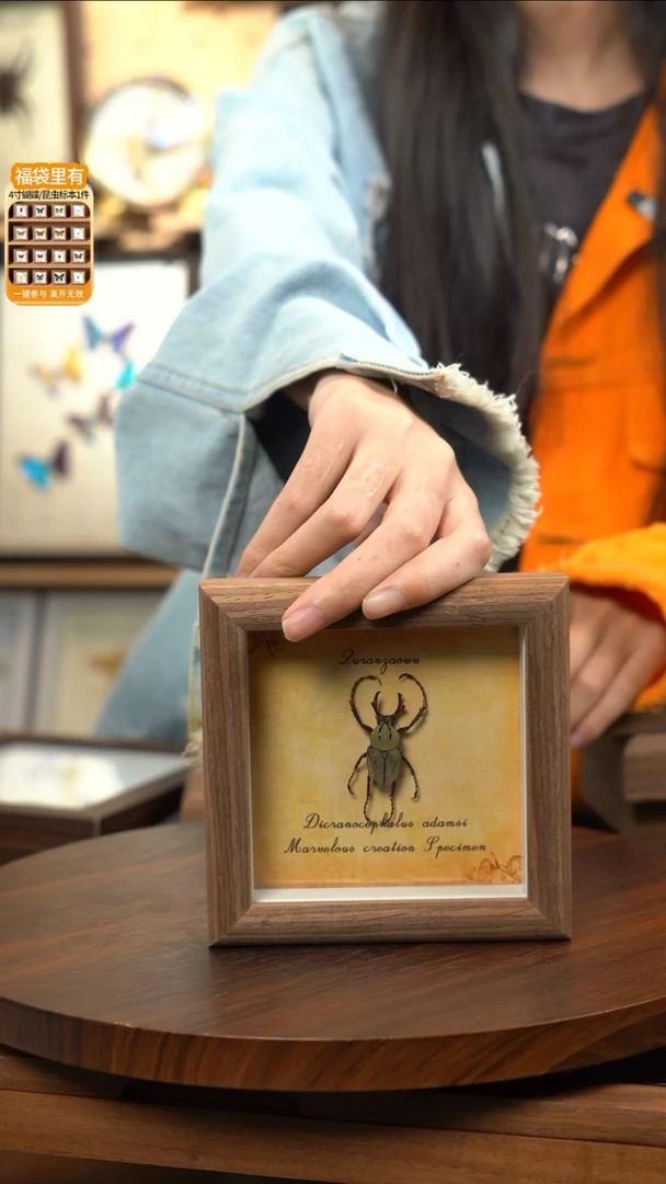 鹿角花金龟4寸木纹方框