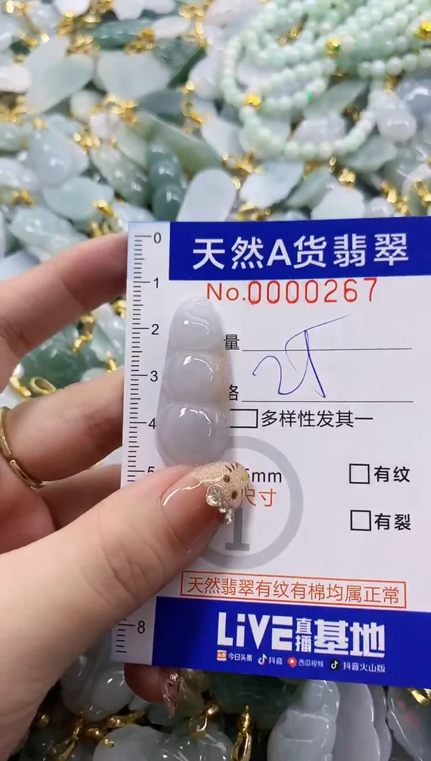 颈饰未镶嵌翡翠天然A货翡翠