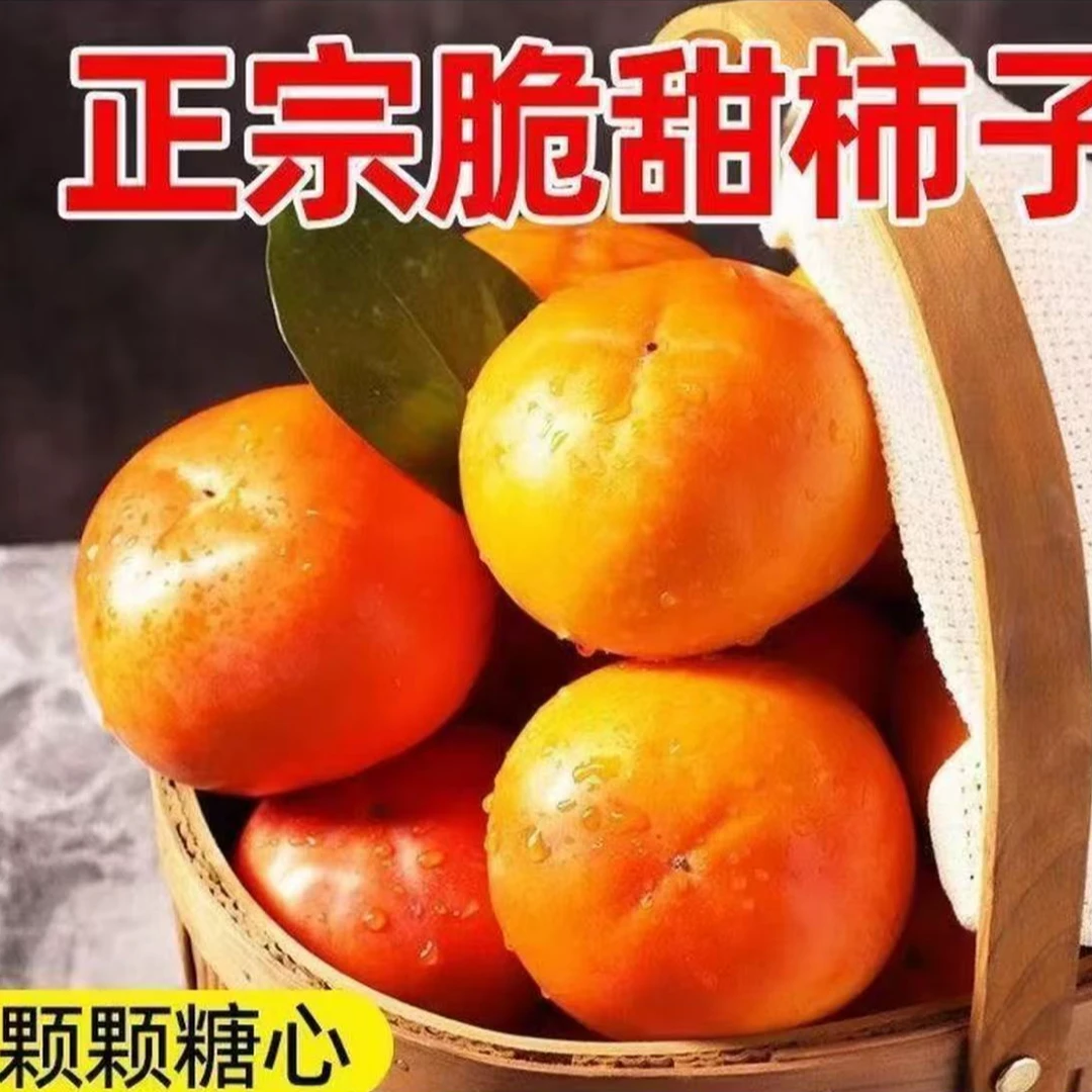 【果王】陕西咸阳农家现摘现发阳丰巧克力脆柿子