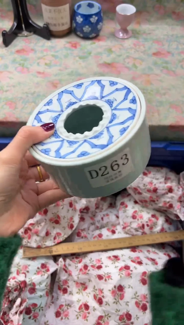 瓷片韭****子       D263