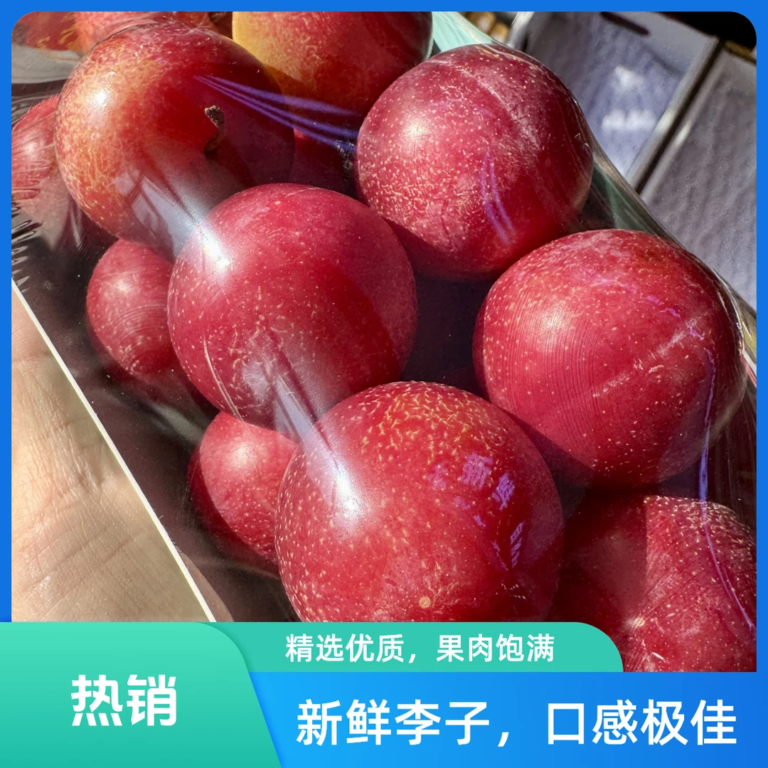 樱桃李子 一份 （约250克）