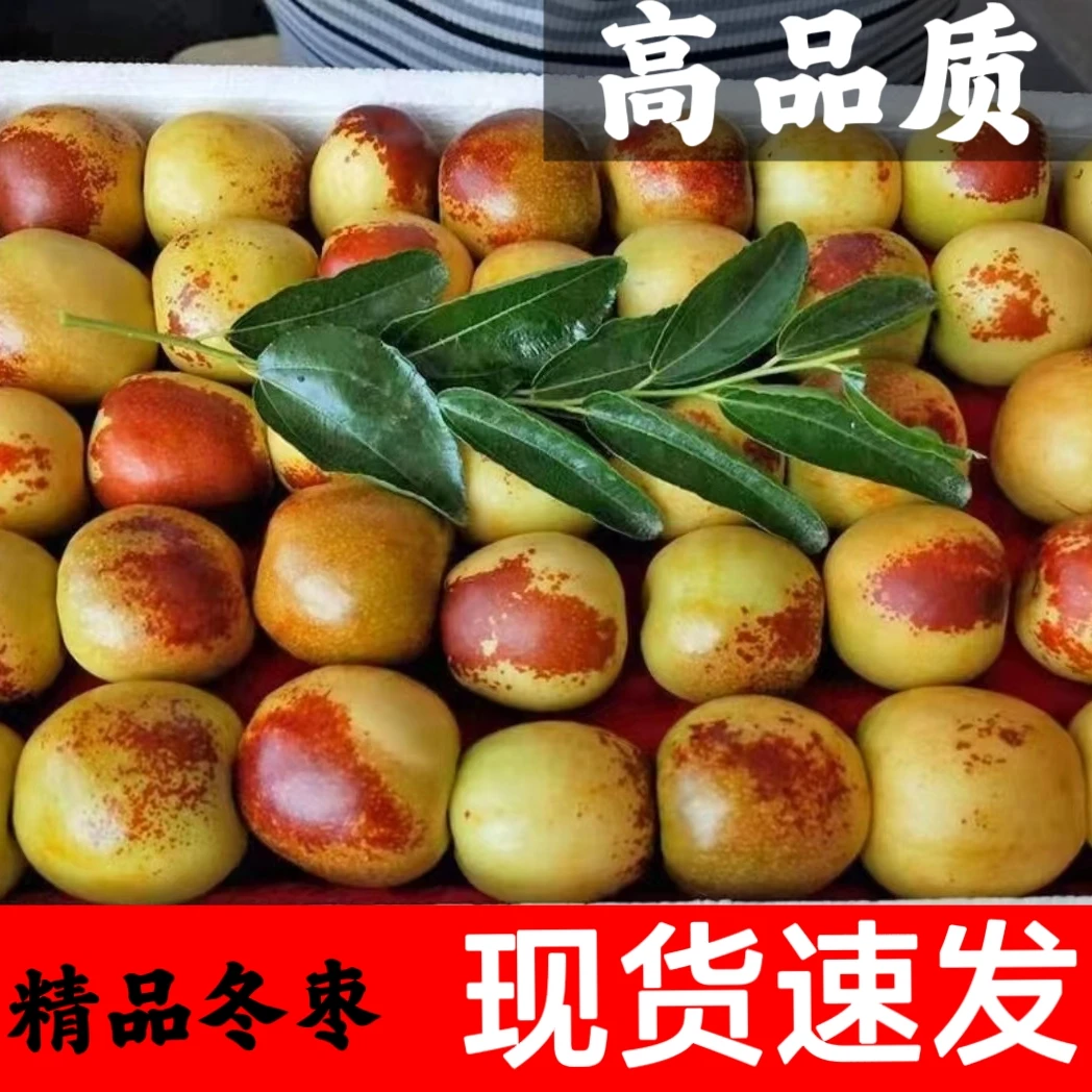 【高品质包邮】脆甜沾化冬枣冰糖冬枣爆甜多汁冬枣新鲜水果3/5斤