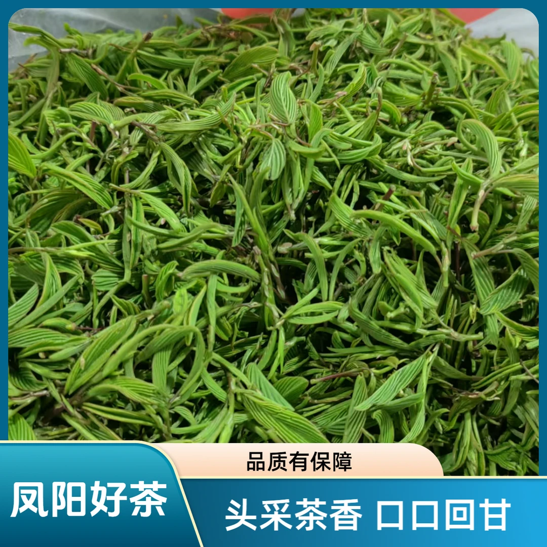 【凤阳藤茶】头采嫩芽绿茶 高山兰花香清爽回甘茶叶大自然的馈赠