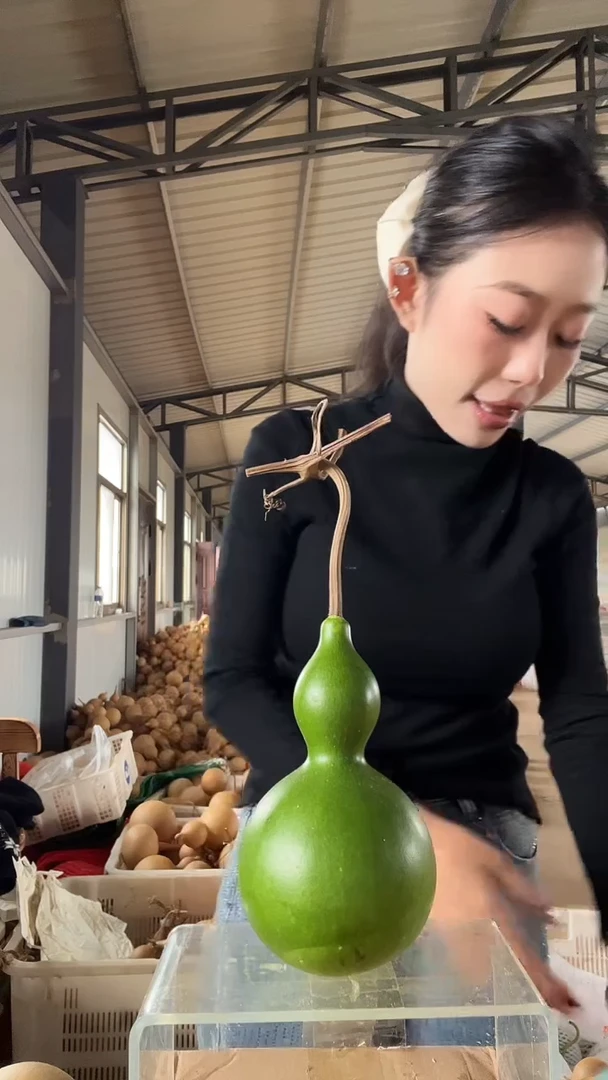 无花朵468天然葫芦摆件 一物一拍龙头不保售后