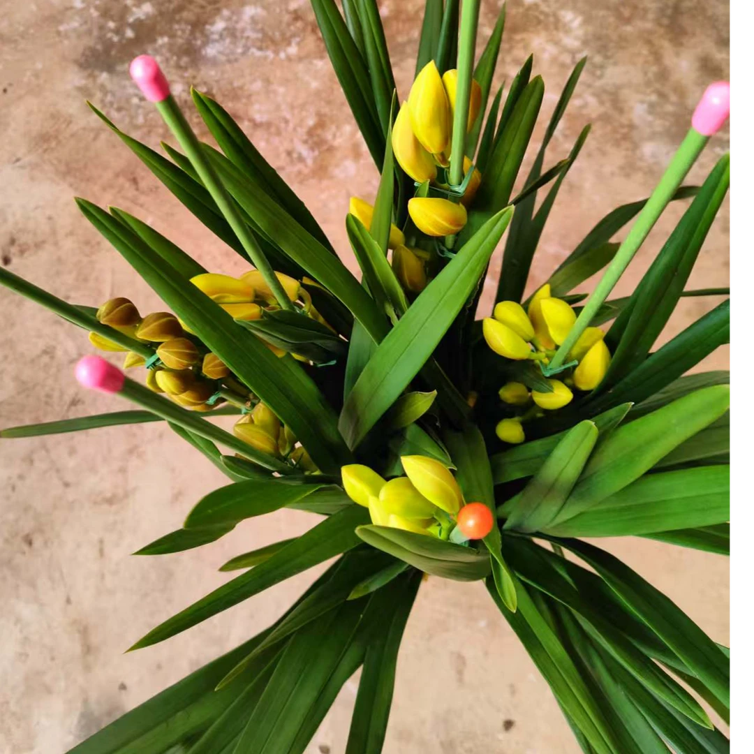 【金玉满堂】金黄色系大花蕙兰