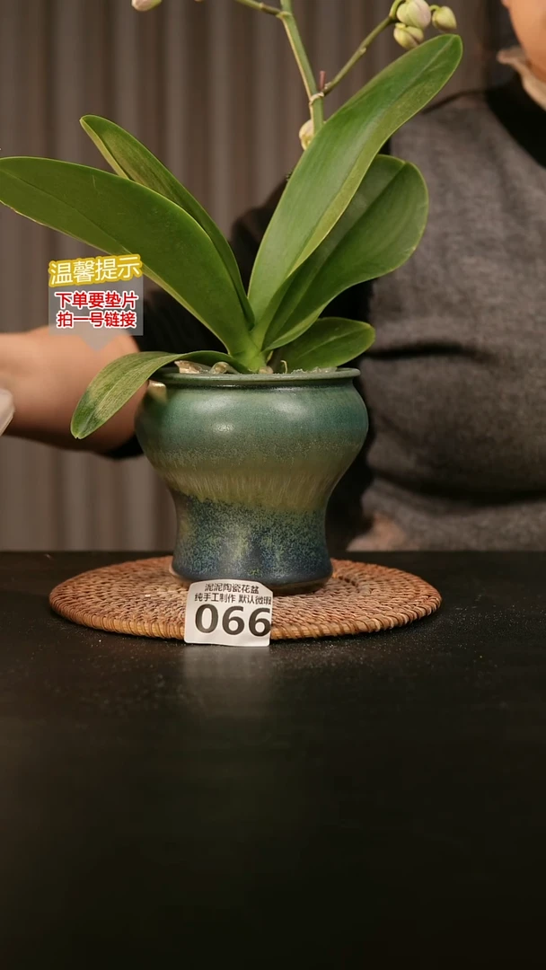 瓷片066内口径约9  外高约11-12