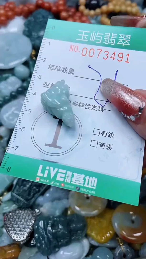 【闪购商品】翡翠颈饰未镶嵌闪购0073491