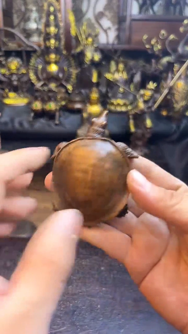 0301李哥专属推荐链接