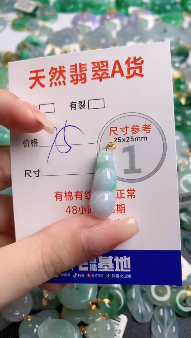 翡翠18K金镶嵌颈饰14007519