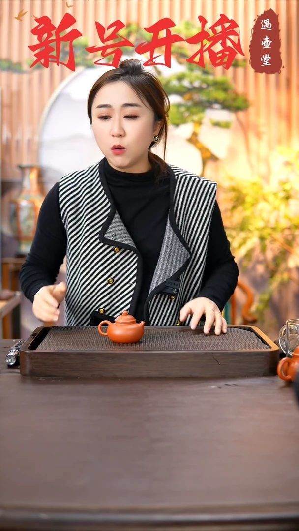 【闪购商品】紫砂茶壶原矿手工紫砂壶1把