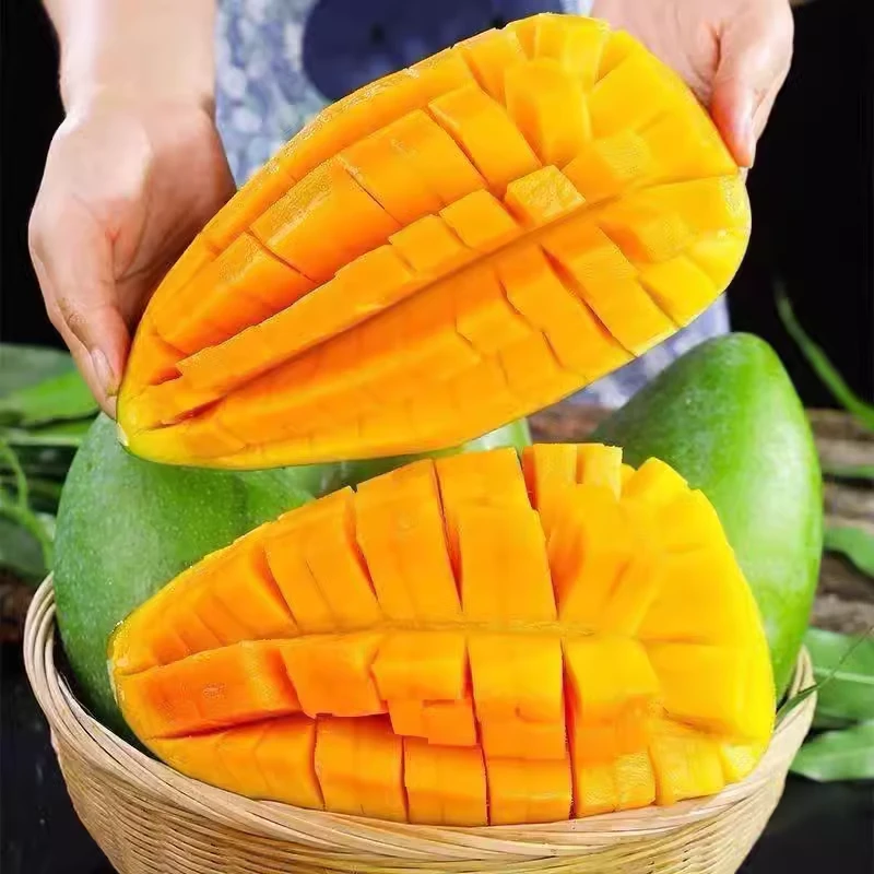 Y【品芒】高山大青芒新鲜9斤带箱应季芒果新鲜水果香甜软糯