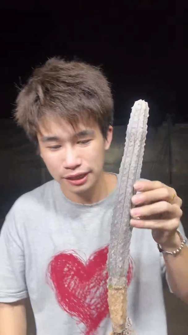 【带根】单头 亚迪麒麟