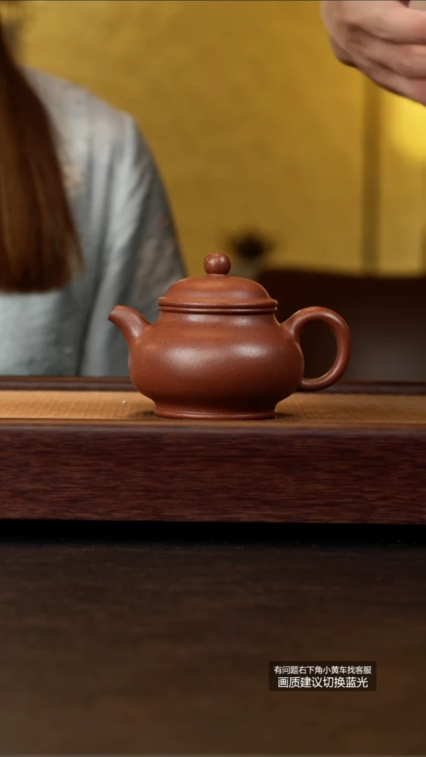 茶壶紫砂蒋蓉陶艺原矿降坡泥潘壶