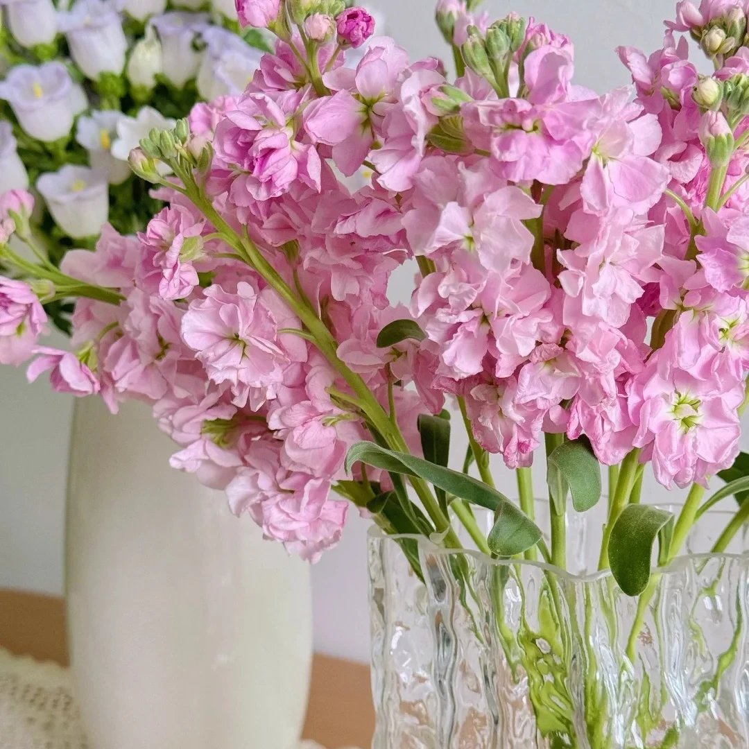 【粉色紫罗兰】精选品质10枝  全场任意满两单及以上顺丰包邮包邮 明天送到家