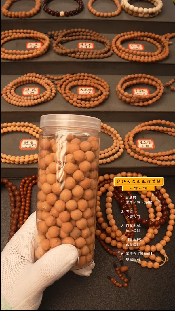 吊坠五线菩提手串