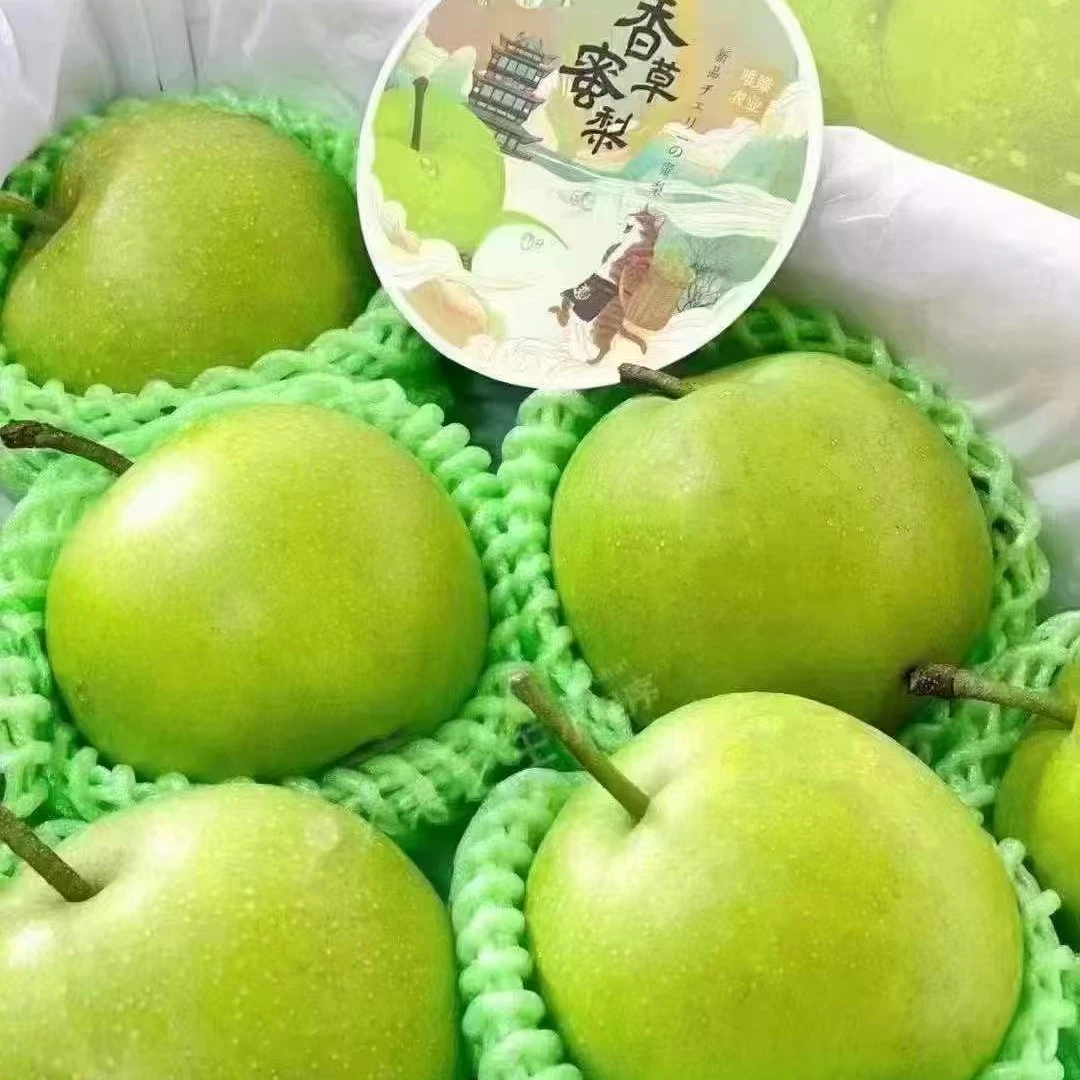 【活宝兄弟专属】香草蜜梨脆甜多汁当季新鲜水果礼盒顺丰上海市