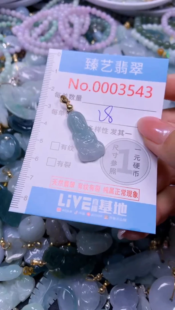 颈饰未镶嵌翡翠3543