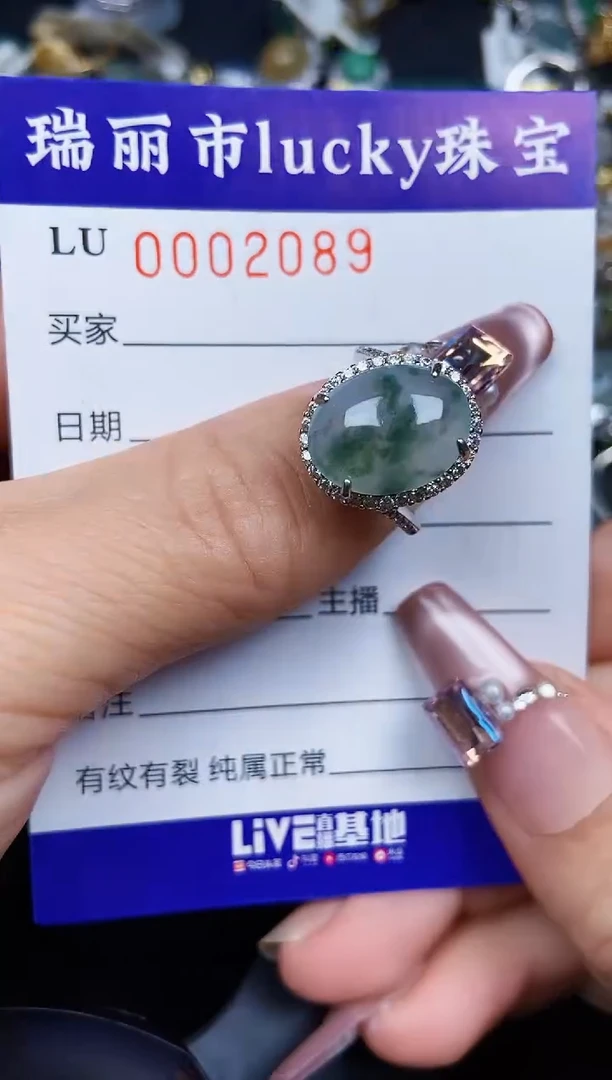 翡翠银S925镶嵌颈饰2089
