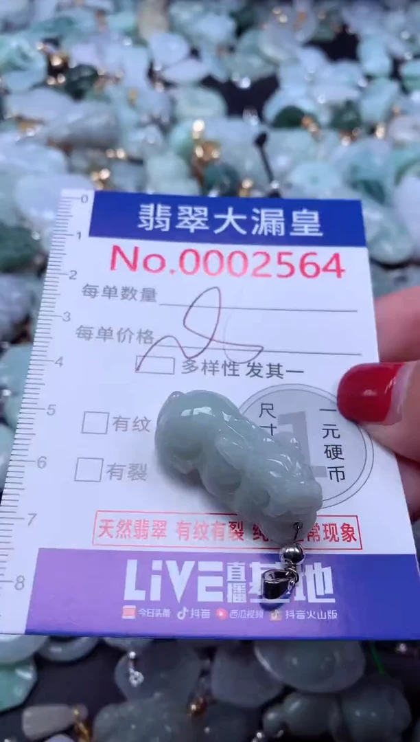 颈饰未镶嵌翡翠2564