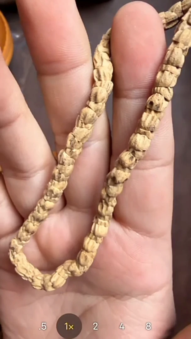 手串龙脊菩提大肠手持FL