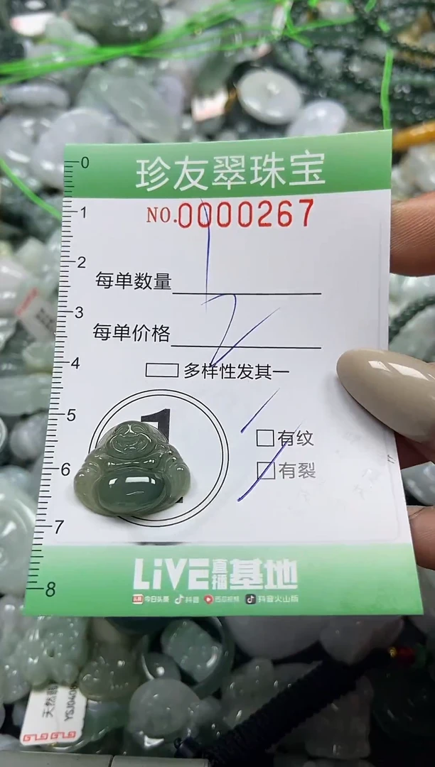 颈饰未镶嵌翡翠闪购0000267