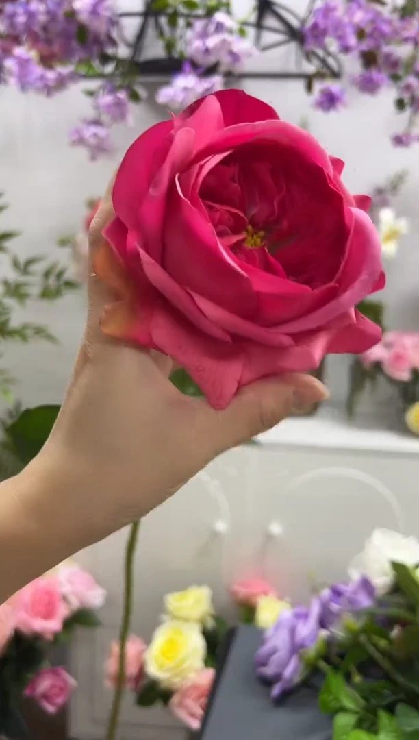 3枝玫红手感保湿朱丽叶