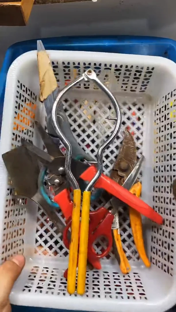 孤**酒麻嘎子工具闪购链接一物一拍