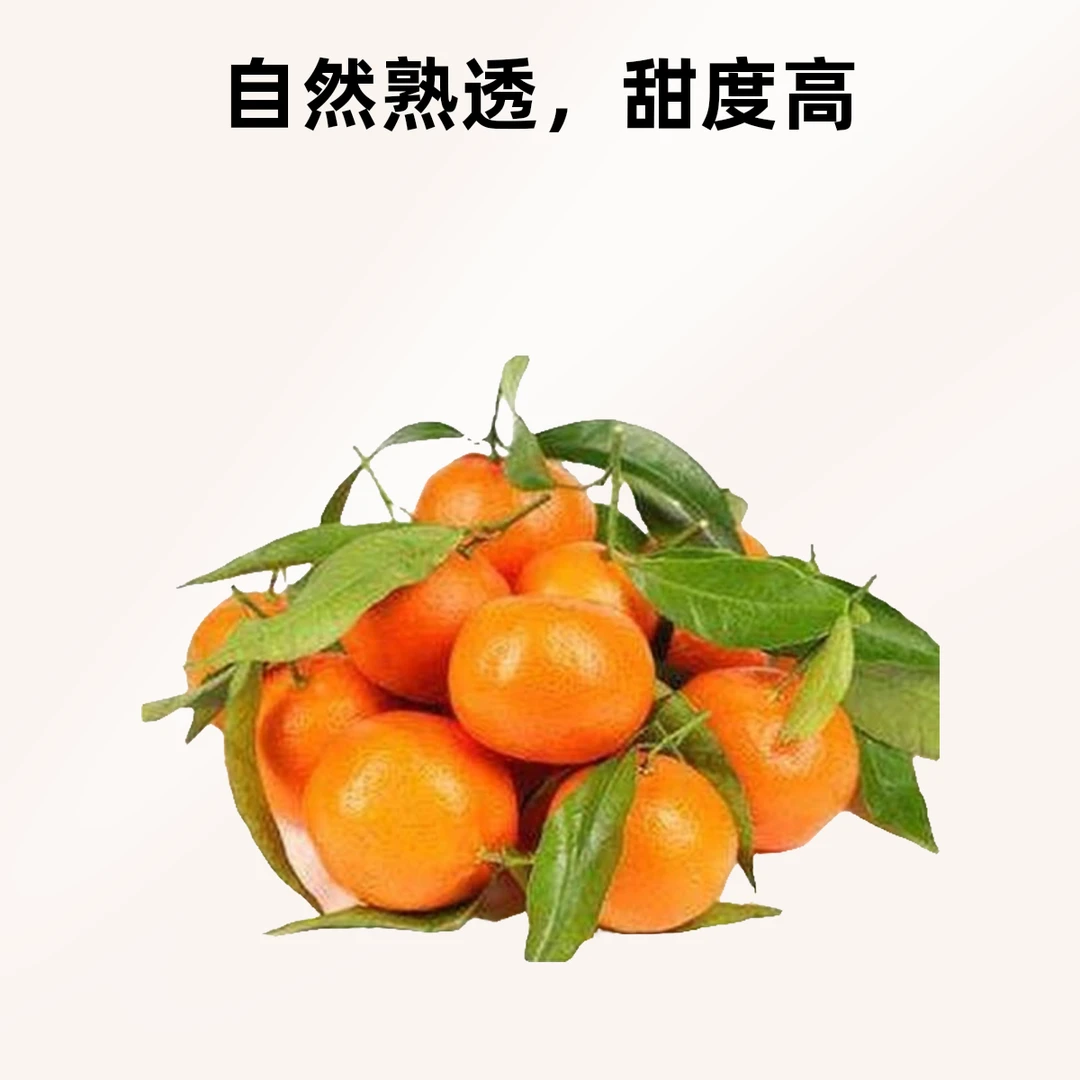 金秋砂糖橘约1000g/份