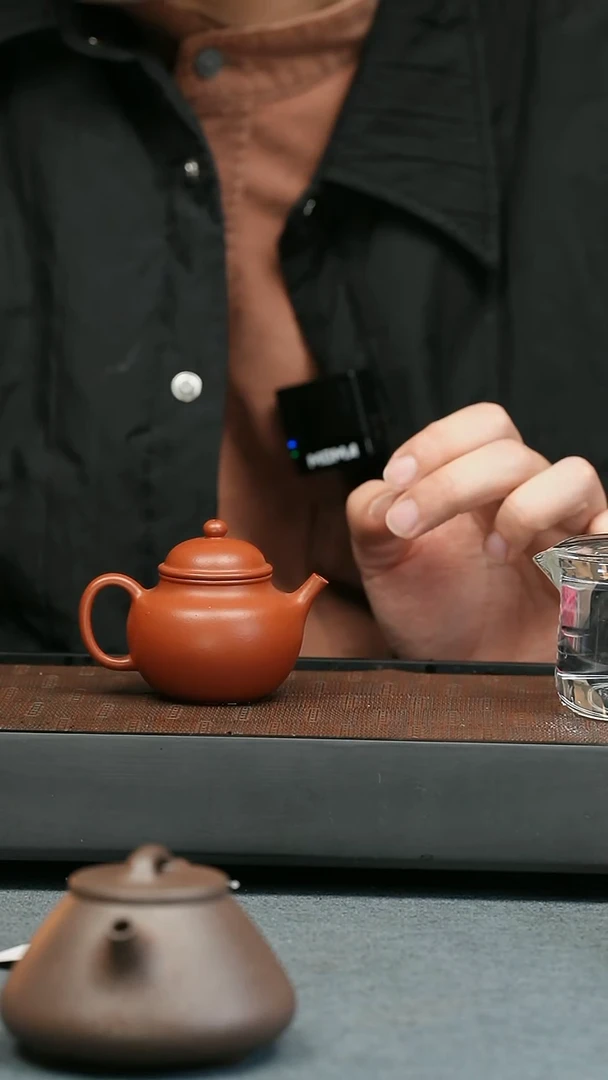 【闪购商品】紫砂茶壶五堂 掇只（南山）