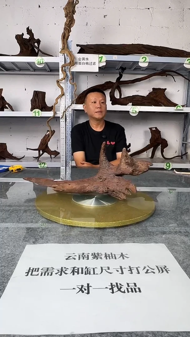 M****）鱼缸造景沉木云南紫柚木一木成景
