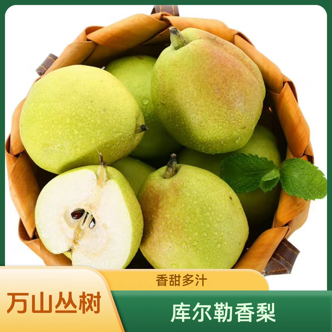 万山丛树【正宗库尔勒香梨】应季时令水果香甜爽口皮薄多汁入口化渣