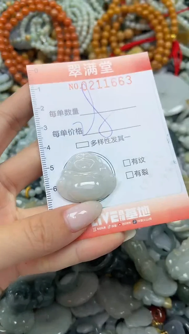 颈饰未镶嵌翡翠闪购0211663