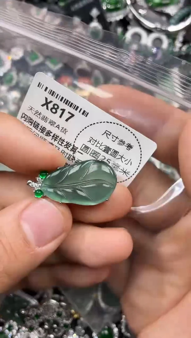 颈饰未镶嵌翡翠X817吊坠