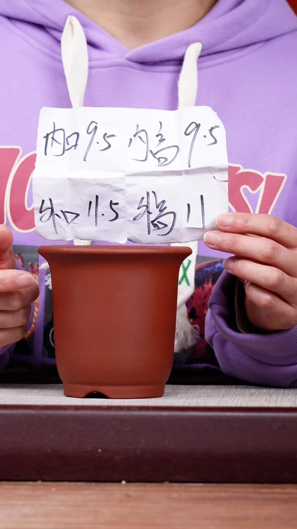 【闪购商品】紫砂花盆清水泥迷你小金钟一只无托