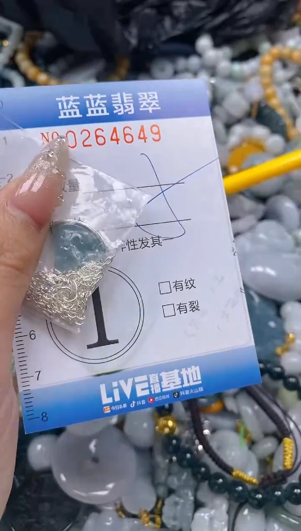 翡翠未镶嵌颈饰闪购0264649